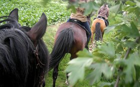 Zu Pferd unterwegs, Pulheim