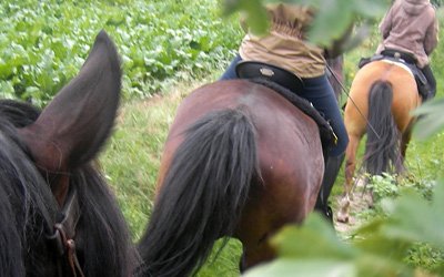 Zu Pferd unterwegs