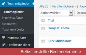 Selbst erstellte Bedienlemente backend in WordPress-Theme, Ausschnitt